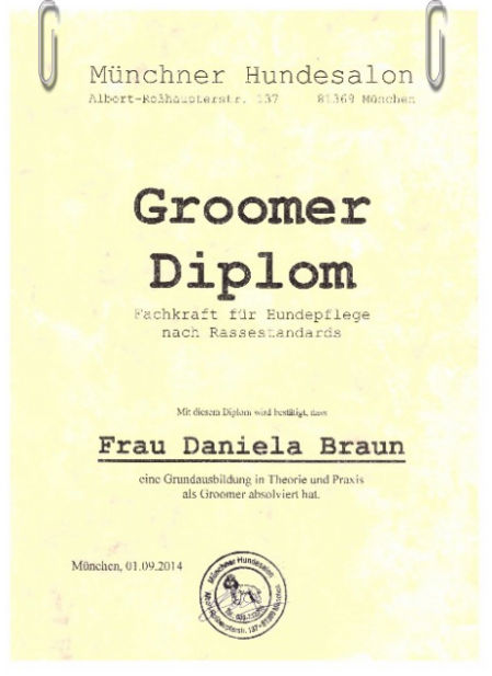 Groomer Diplom Groomer Diplom